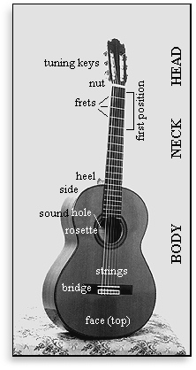  Principal parts of the Guitar